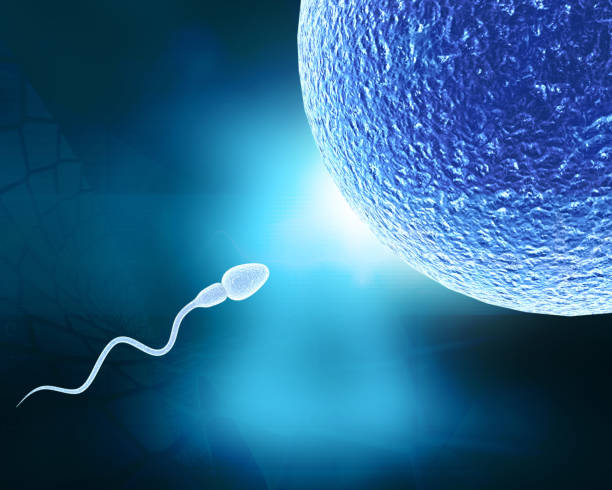 Lifestyle Changes To increase sperm count naturally