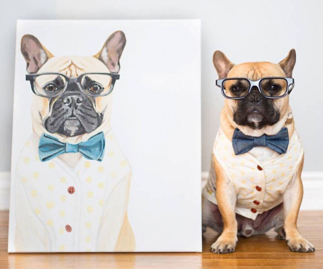 Where you can make custom family pet portraits?