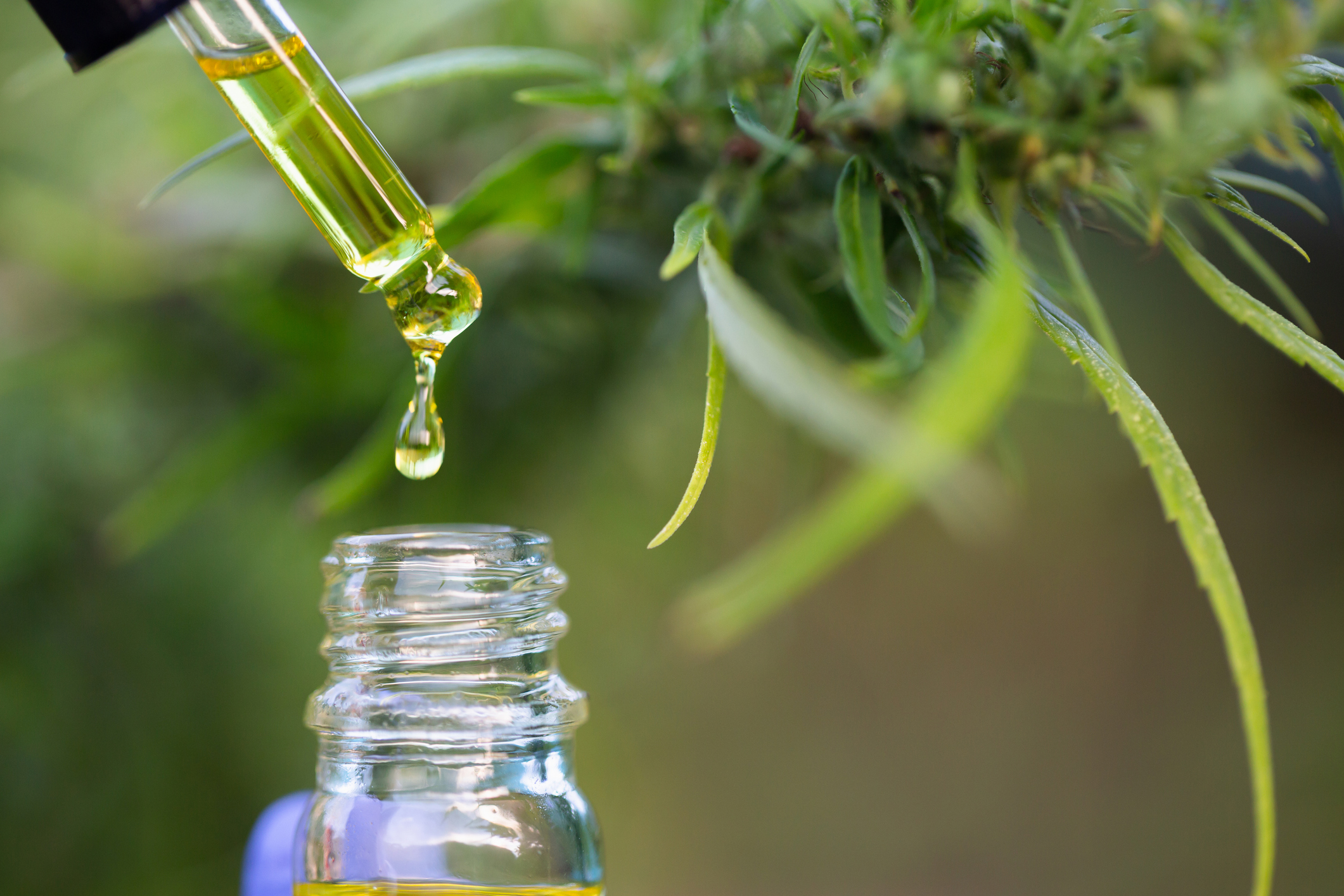 Deciphering the Ingredients in Your CBD Oil with Tests