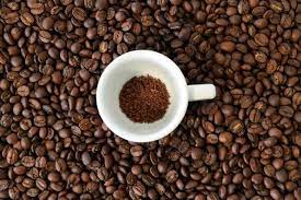 Costa Rican Tarrazu Area of expertise Roast Coffee Beans