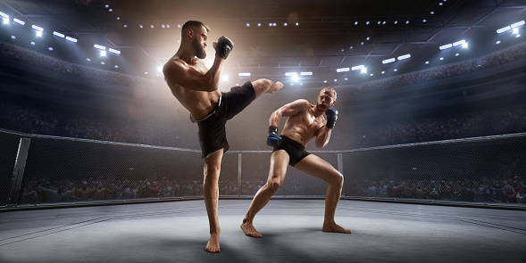 Imagination-Blowing MMA Action: See It Reside On this page Now