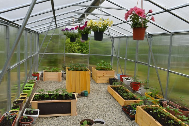 Looking after Grow Lifestyle: Greenhouse StoresMake it easier