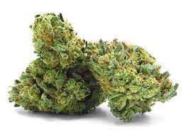 Get pleasure from Premium Weed Delivery Services in Brampton