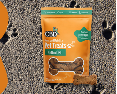 CBD Dog Treats for Pain Relief: Helping Your Pet Feel Better