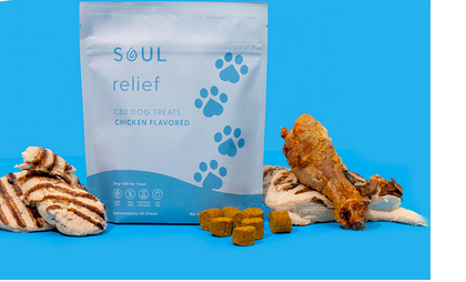 CBD Treats for Dogs: A Holistic Approach to Wellness