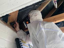 Understanding Asbestos Surveys: A Comprehensive Guide