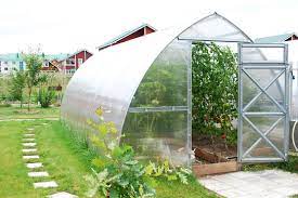 Harvest Happiness: Embrace Greenhouses for Year-Round Joy