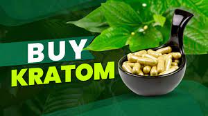 The Kratom Connoisseur’s Handbook: Where to Source Top-Grade Products