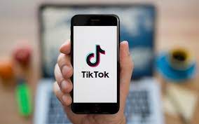 From Followers to Fortune: The Power of the TikTok Influencer Database