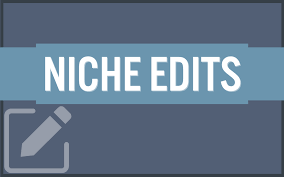 Niche Edits Explained: A Powerful SEO Technique for Growing Your Website