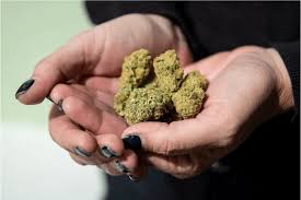Online Cannabis vs. Local Retailers: The Stats